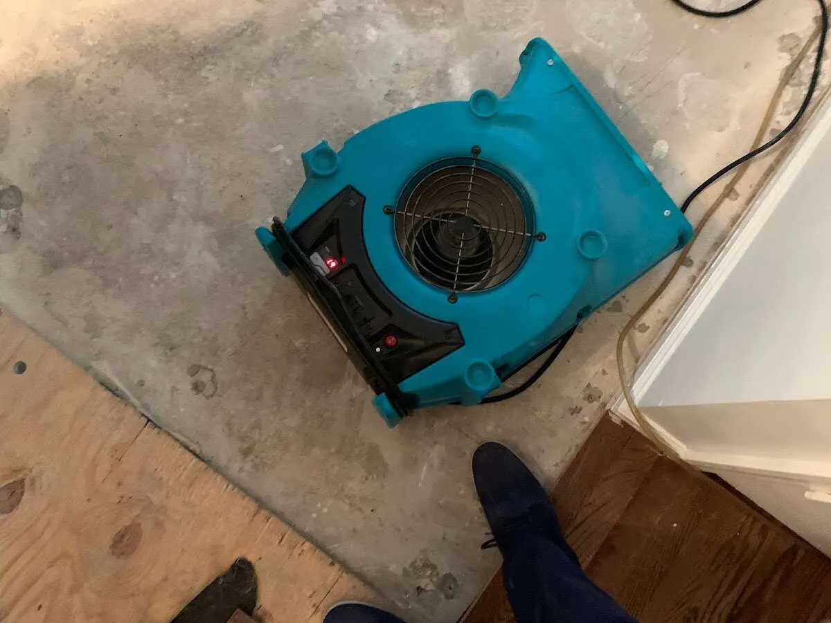 Air mover drying subfloor during Commercial Water Damage Restoration in White Center